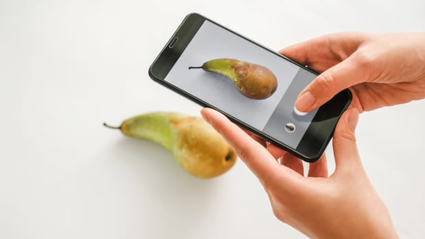 phone photographing a pear