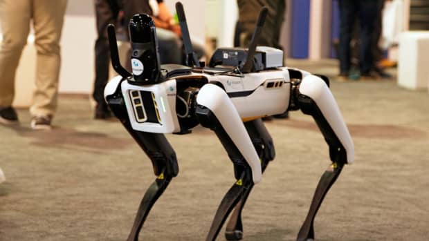 Robotic Dog Spotted in California Is the Wave of the Future