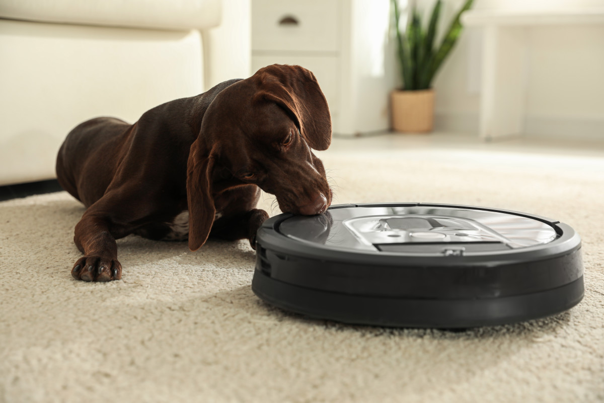 Advanced Robot Vacuum and Mop Gets Floors Unbelievably Clean - TurboFuture