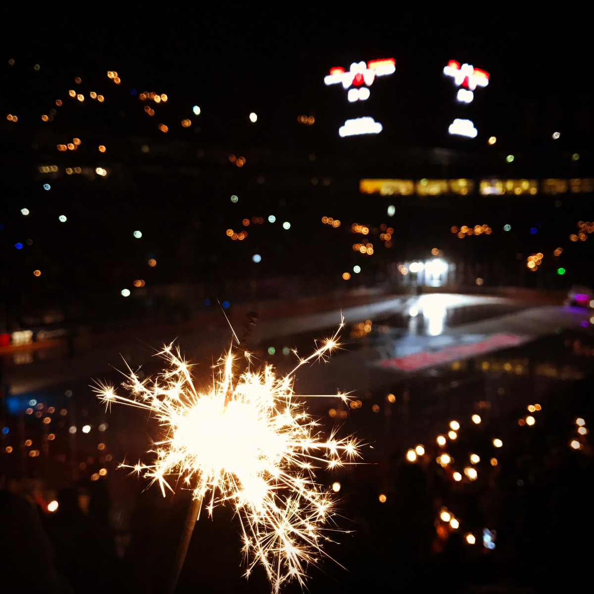 Video of Jumbotron at Hockey Game Showing Celebrity Lookalikes of Fans